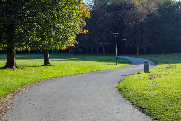 Empty park path with falling leaf in Germany, Munich, destination Ostpark. Sunny day in public park, green grass, tree background. - Photo, Image