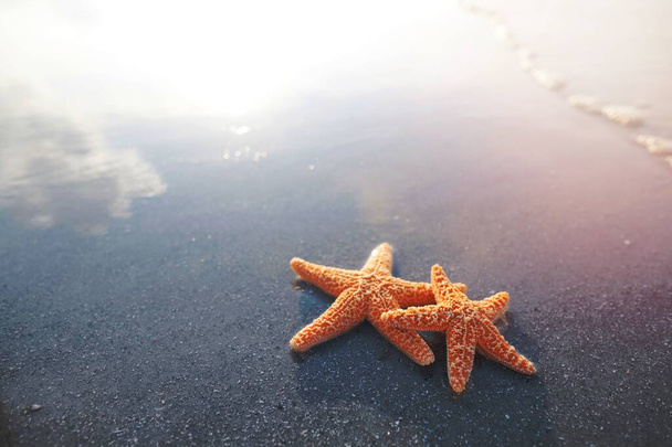 Para rozgwiazdy na plaży - Zdjęcie, obraz