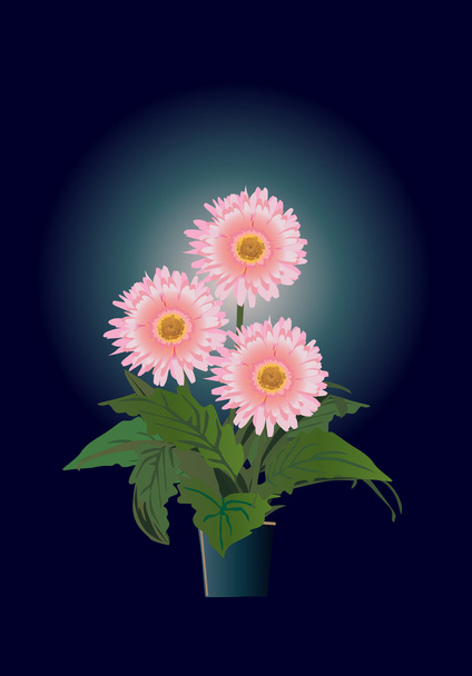 roze bloemen in pot op donkerblauw - Vector, afbeelding