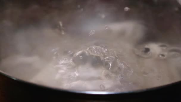 Khinkali feito à mão posto deixado cair na panela de água fervente na cozinha doméstica. Bolinhos cheios de recheios de carne salgada como cozinha tradicional georgiana. Fechar. - Filmagem, Vídeo