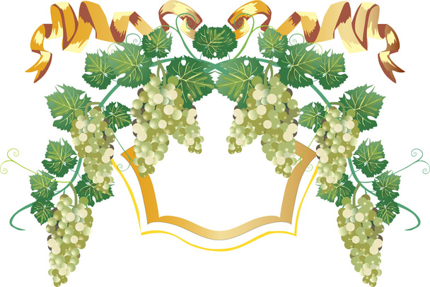 vine with grapesframe on light background - Vector, Image