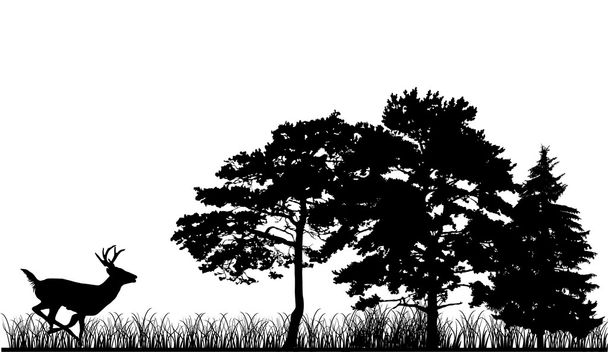 siluety stromů a jelen - Vektor, obrázek