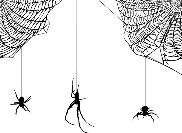 τρεις αράχνες στην απεικόνιση του web - Διάνυσμα, εικόνα