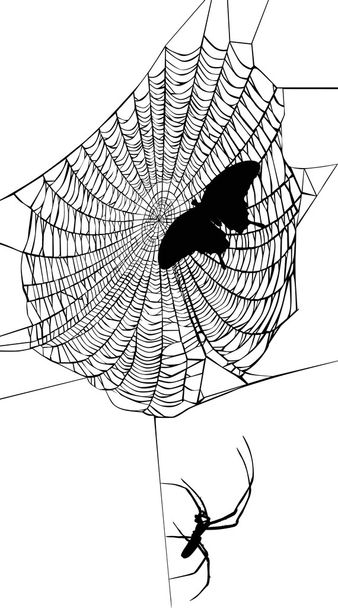 butterfly in spider web - Vector, Image