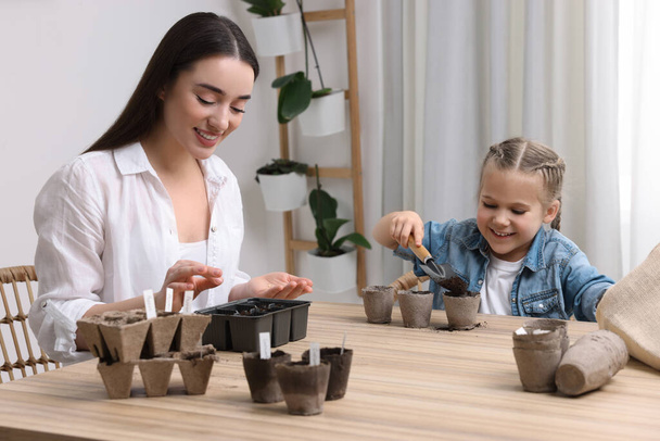 Mother and her daughter planting vegetable seeds into peat pots with soil at wooden table indoors - Photo, Image
