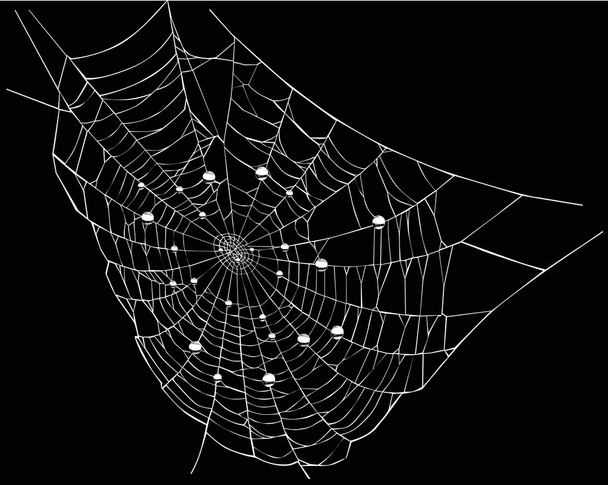 滴を黒と白のクモの巣 - ベクター画像