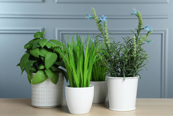Many different artificial plants in flower pots on wooden table near grey wall - Foto, Bild
