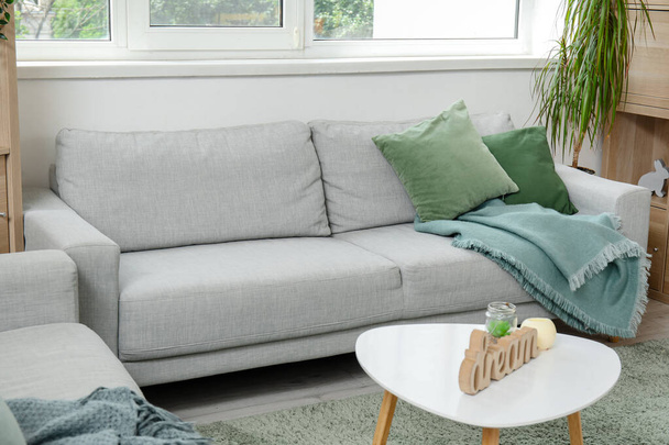 Інтер'єр світлої вітальні зі стильними сірими диванами, столом і декором - Фото, зображення