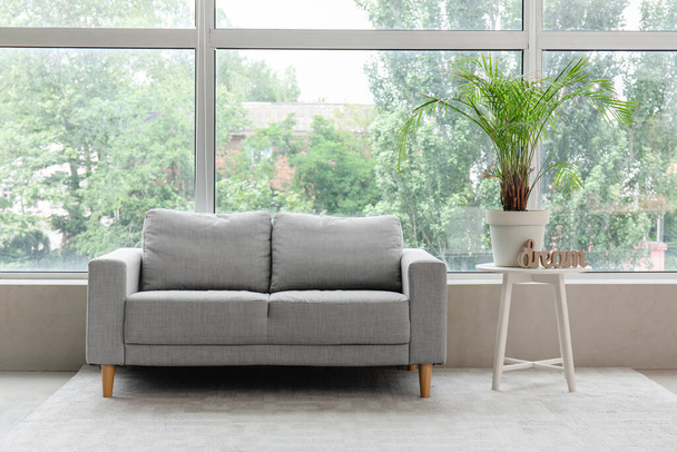 Стильний сірий диван і стіл з кімнатним рослиною біля вікна у вітальні - Фото, зображення
