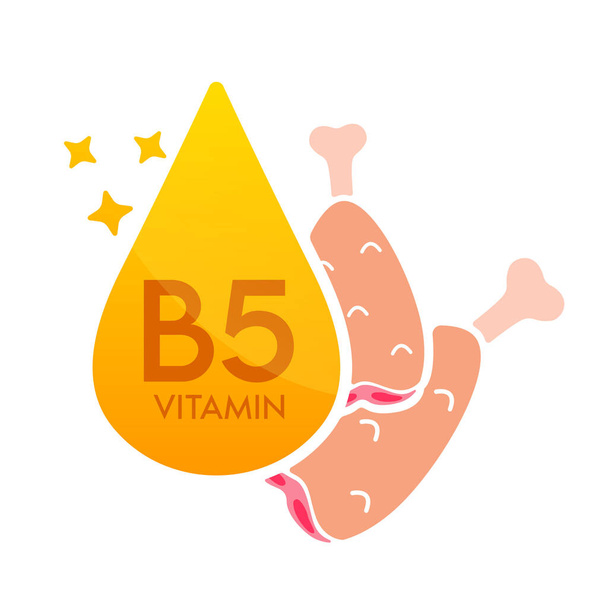 Εικονίδιο βιταμίνης Β5 πορτοκαλί με κρέας κοτόπουλου κόκκινο. Σχηματίστε σταγόνα ορού απλή γραμμή απομονώνονται σε λευκό φόντο. Σχεδιασμός για χρήση σε έντυπα μέσα. Ιατρικό σύμβολο συμπλήρωμα διατροφής. Διάνυσμα EPS10. - Διάνυσμα, εικόνα