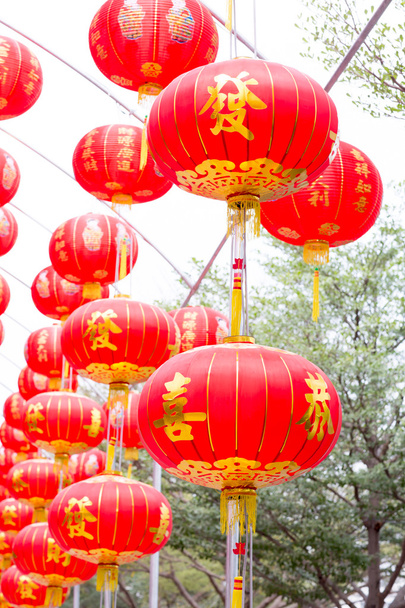 Chinese lanterns - Photo, Image
