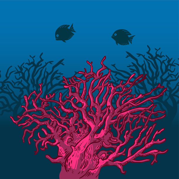 Coral. Ilustração vetorial
 - Vetor, Imagem
