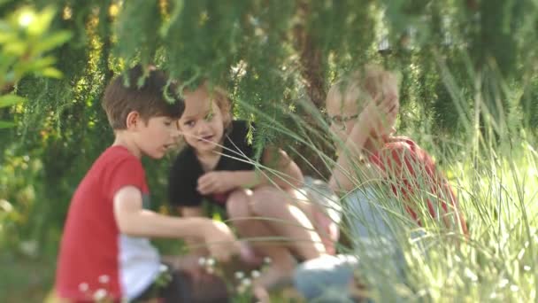 Kinder spielten unter einem grünen Baum. Lustige Kinder stottern, während sie auf dem Rasen sitzen. Weiche selektive Fokussierung - Filmmaterial, Video