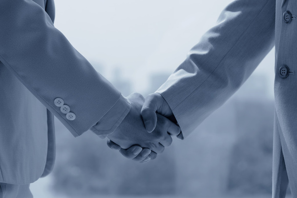 Partners shaking hands - Photo, Image