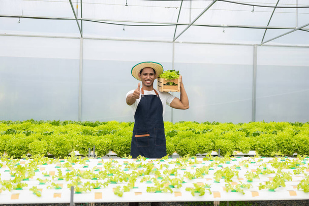 Jovem agricultor com efeito de estufa orgânico Verifique antes de colher Green Oak Hydroponics Farms pega vegetais maduros para vender para lojas locais de conveniência. - Foto, Imagem