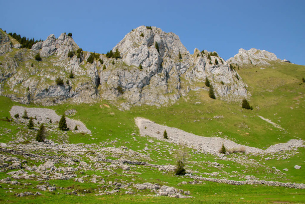Стоунхорн. Альпійський пейзаж у Швейцарії. поблизу Тун і Інтерлакен. - Фото, зображення