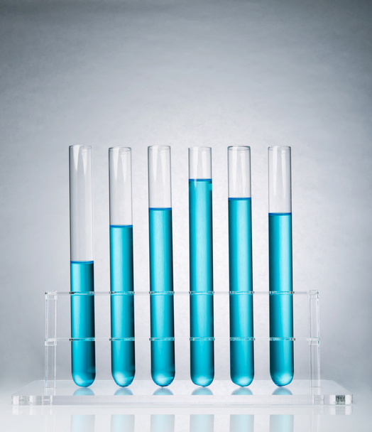 Test tubes in a rack - Photo, Image