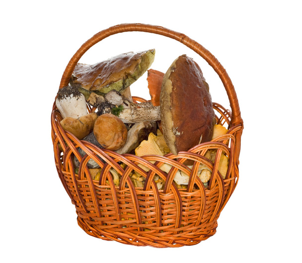 Isolated basket of mushrooms - Zdjęcie, obraz