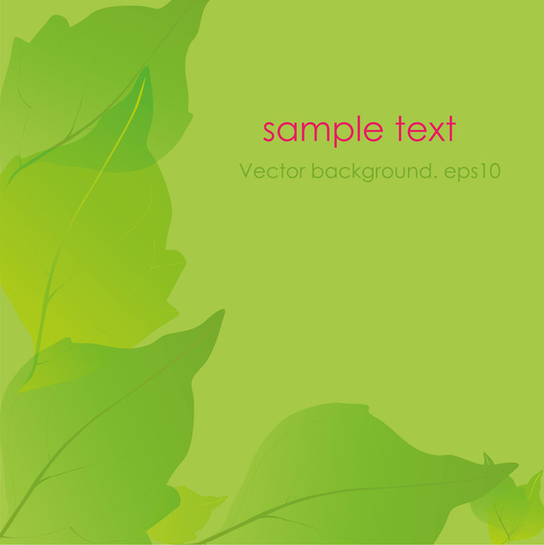 Green background. Leaves. - Vetor, Imagem