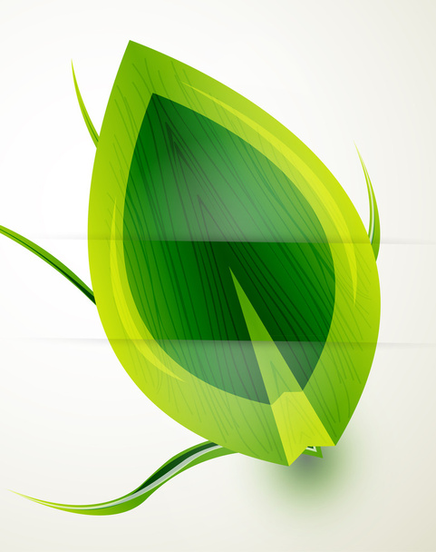 Векторні блискучі зелені літні листя і трава
 - Вектор, зображення