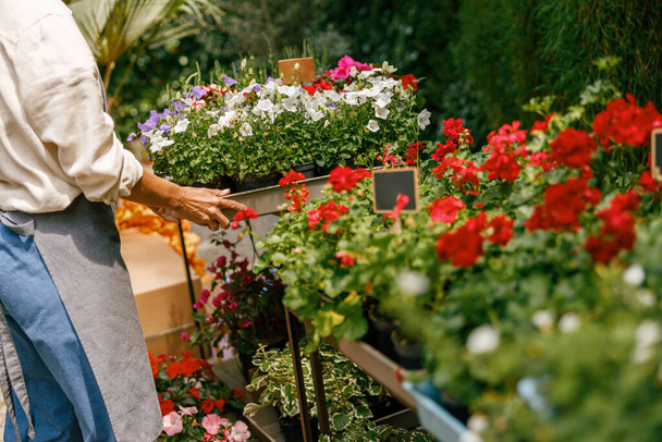 Női hivatásos kertész gondoskodik a szobanövényekről a virágboltban. Kiváló minőségű fénykép - Fotó, kép