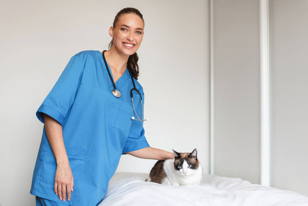 Feline Doctor. Happy Professional Veterinární lékař dáma vyšetření kočka během veterinární prohlídky na Veterinární klinice interiéru, s úsměvem při pohledu na kameru. Zvířecí specialista Koncepce - Fotografie, Obrázek