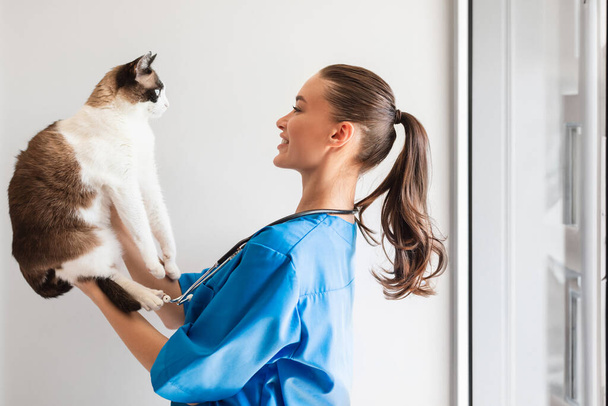 Veterinary. Cheerful Veterinarian Doctor Woman Doing Health Checkup Holding And Examining Domestic Cat Standing in Modern Clinic. Feline Wellbeing And Healthcare Concept. Side View Shot - Zdjęcie, obraz