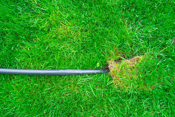 Черная пластиковая труба выходит из зеленой лужайки. Начало интеграции орошения в газон - Фото, изображение