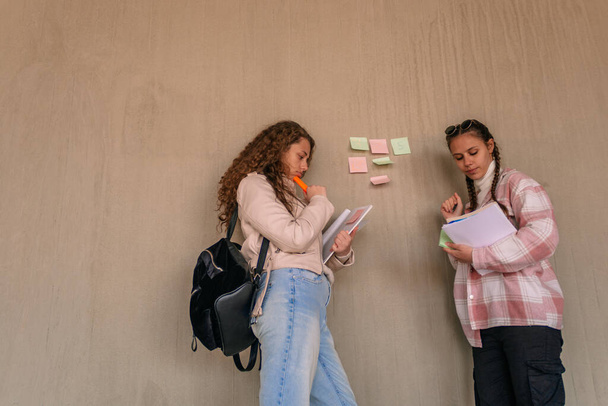 Vue de face de deux adorables écolières lisant leurs devoirs. Ils écrivent les solutions sur des notes collantes sur le mur - Photo, image
