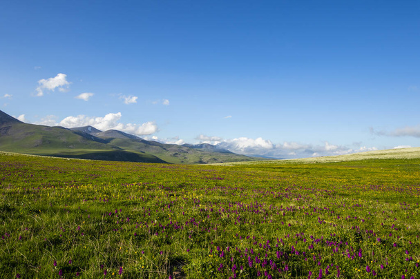Ορεινό τοπίο στο όρος Abuli, Goergia - Φωτογραφία, εικόνα