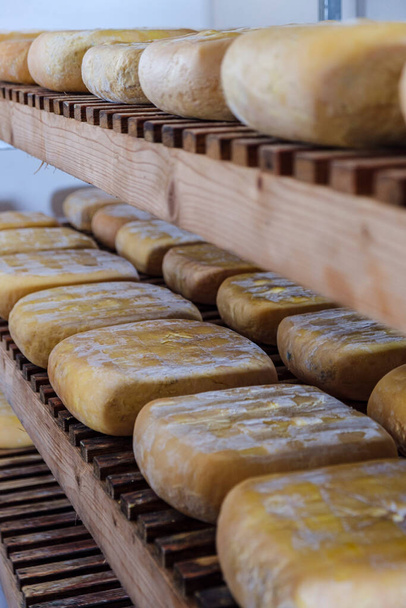 ράφια με τυρί, Es Tudons cheesmaking, Ciutadella, Menorca, Βαλεαρίδες Νήσοι, Ισπανία - Φωτογραφία, εικόνα