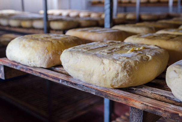 Es Tudons cheesemaking, Ciutadella, Menorca, Balearic Islands, Spain - Photo, Image