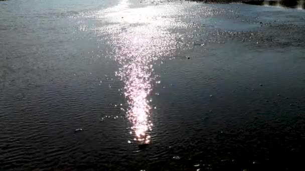 Sentier lunaire à la surface d'une rivière de montagne - Séquence, vidéo
