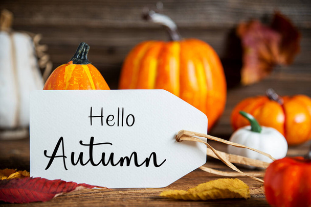 Autumn Decoration With Orange Pumpkins, Rustic fall Decoration With Label Text Hello Autumn - Photo, image