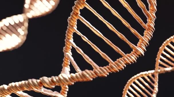 Animation en gros plan 3D de brins d'ADN doré en étapes hélicoïdales sur fond sombre - Séquence, vidéo