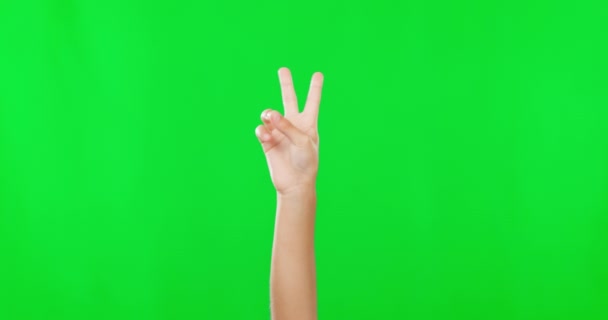 Hands, green screen and closeup of a peace sign in a studio for language, symbol or communication. Number, emoji and zoom of a chill or cool hand gesture or icon isolated by a chroma key background - Felvétel, videó