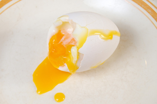 Egg  chicken - Photo, image