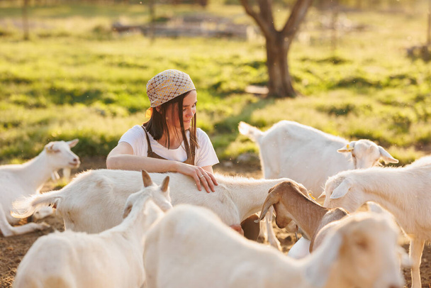 Female farmer taking care of cute goats. Young woman getting pet therapy at ranch. Animal husbandry for the industrial production of goat milk dairy products.Agriculture business and cattle farming - Valokuva, kuva