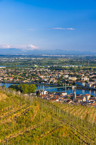 Grand cru vineyard, Tain l 'Hermitage, Rhone-Alpes, Francia - Foto, imagen