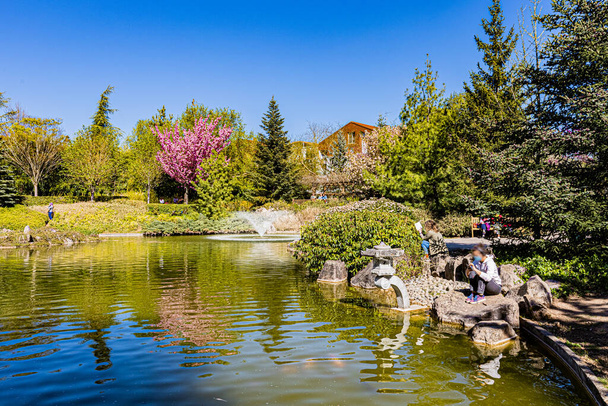 Couleurs printanières dans le jardin japonais de Dijon.. Le jardin japonais a Dijon aux couleurs du printemps. - Photo, image