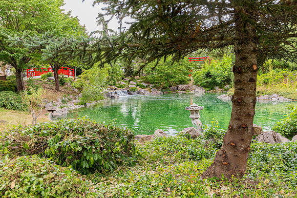 El jardín japonés en Dijon en colores de otoño.. Le jardín japonais a Dijon aux couleurs de l 'automne. - Foto, Imagen
