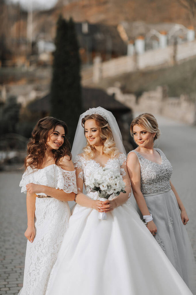Stylish bridesmaids have fun with the bride in nature and pose and look at the bride - Foto, Imagem