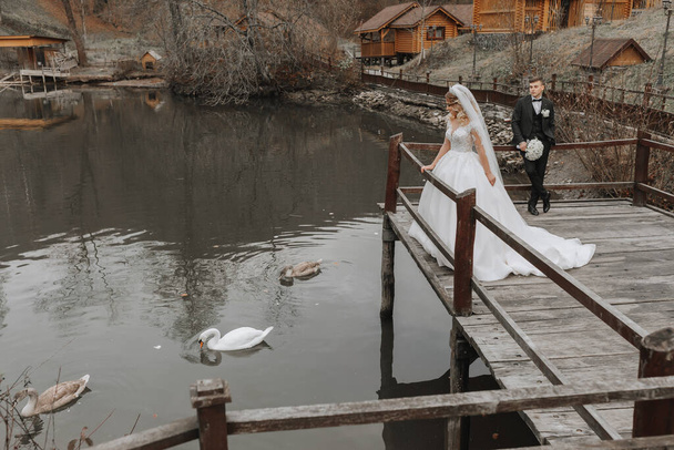 A stylish bride in a lush dress and fashionable hairstyle stands on a pier in a park near wooden houses, the groom behind her. swans swim in the lake - Фото, изображение