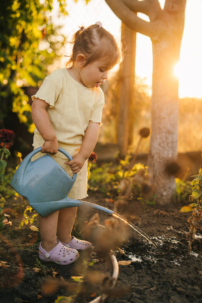 Прекрасна маленька дівчинка поливає в саду бабусі проти заходу сонця. - Фото, зображення