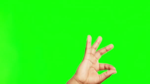 Hands, okay sign and perfect in success on green screen for good job against a studio background. Hand of person with OK emoji, yes or like for win, achievement or approval on chromakey mockup space. - Felvétel, videó