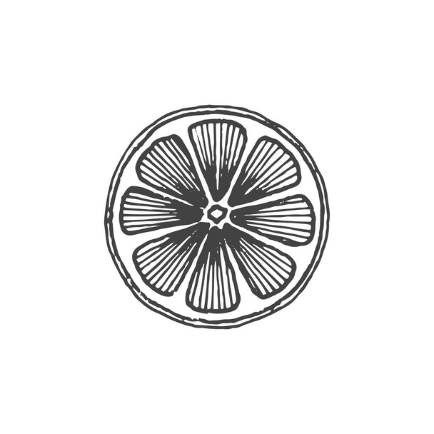 naranja elemento logo minimalista, dibujo de limón, cítricos, elemento Logo, clipart, naturaleza, contorno, tatuaje, dibujado a mano, dibujo, elemento vectorial - Vector, Imagen