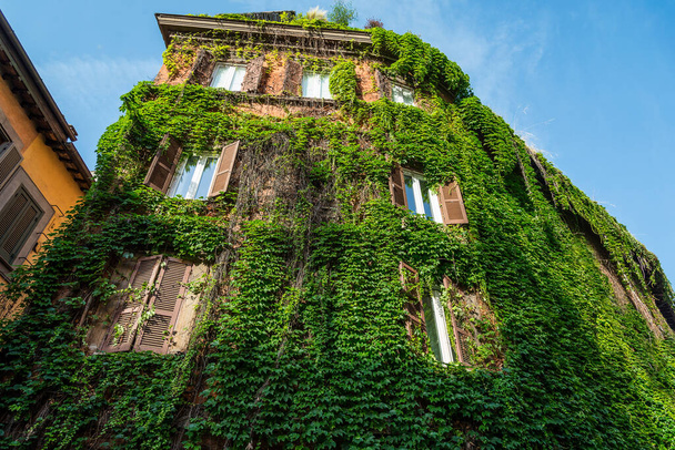 Een appartementencomplex Grown With Ivy - Foto, afbeelding