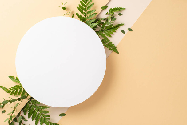 Tenderness of fresh greenery concept. Top view picture of empty circle surrounded by eucalyptus and bracken branches on isolated beige and white background with copy-space - Photo, image