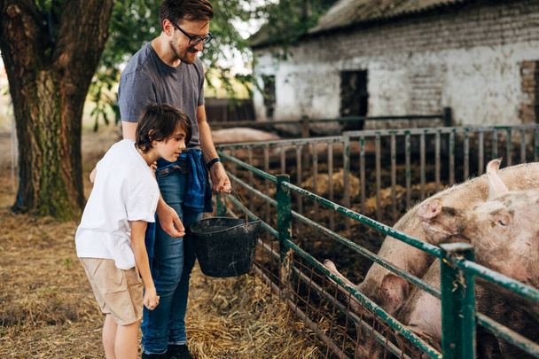 Side view of a man and his son feeding the pigs. - Foto, Imagen