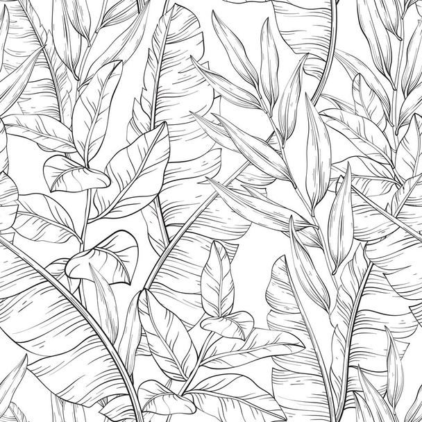 Botanical Black and white seamless pattern, tropical and banana leaves, vector illustration - Vektor, kép